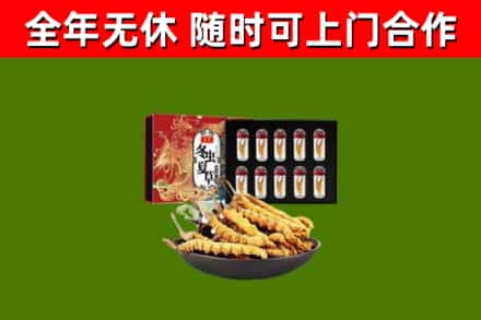宝鸡市回收冬虫夏草价格